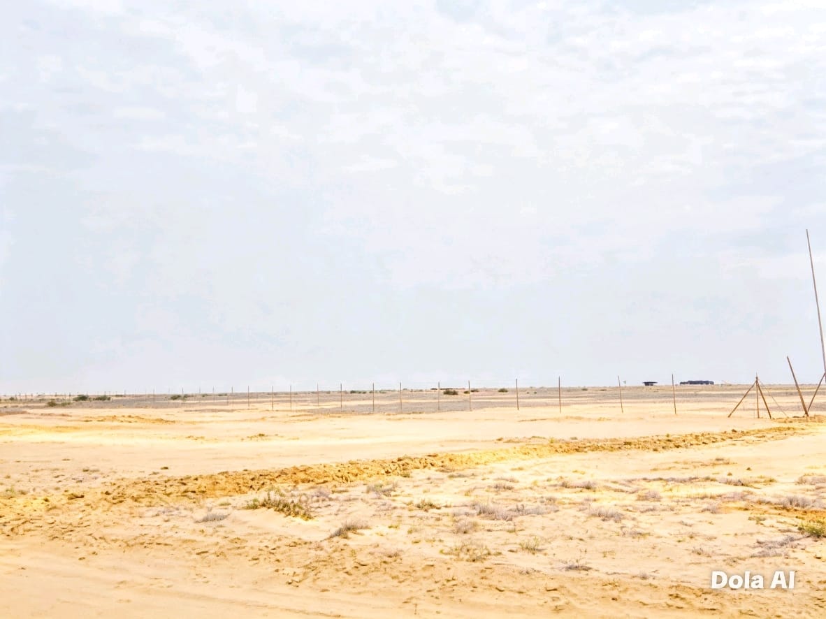 SE VENDE 250 HECTÁREAS — MORROPE, LAMBAYEQUE