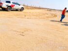 SE VENDE 250 HECTÁREAS — MORROPE, LAMBAYEQUE