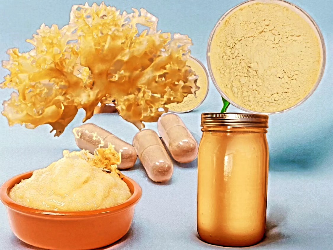 Irish Moss Chondrus Crispus From Perú-Wholesale Supply WPS,+51968610577