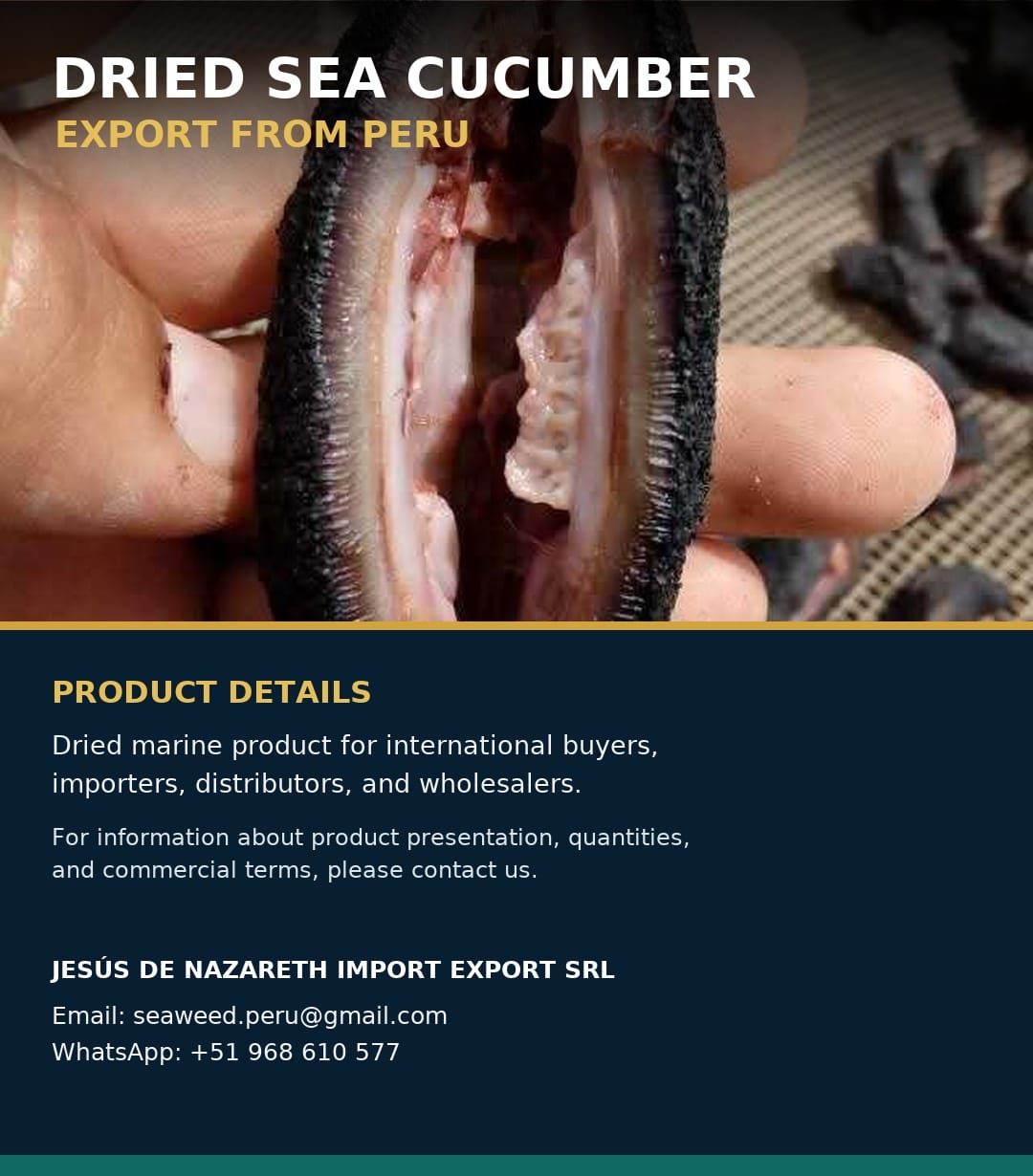 Sea cucumber Dried From Perú
