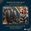Sea cucumber Dried From Perú