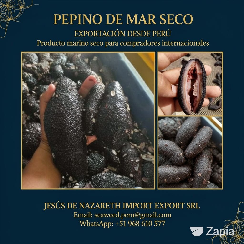Sea cucumber Dried From Perú
