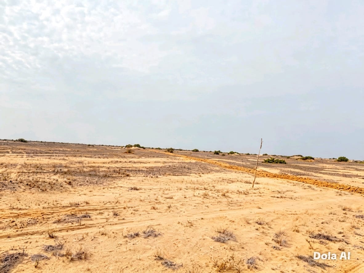 SE VENDE 250 HECTÁREAS — MORROPE, LAMBAYEQUE