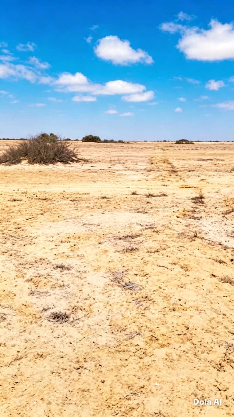 SE VENDE 250 HECTÁREAS — MORROPE, LAMBAYEQUE