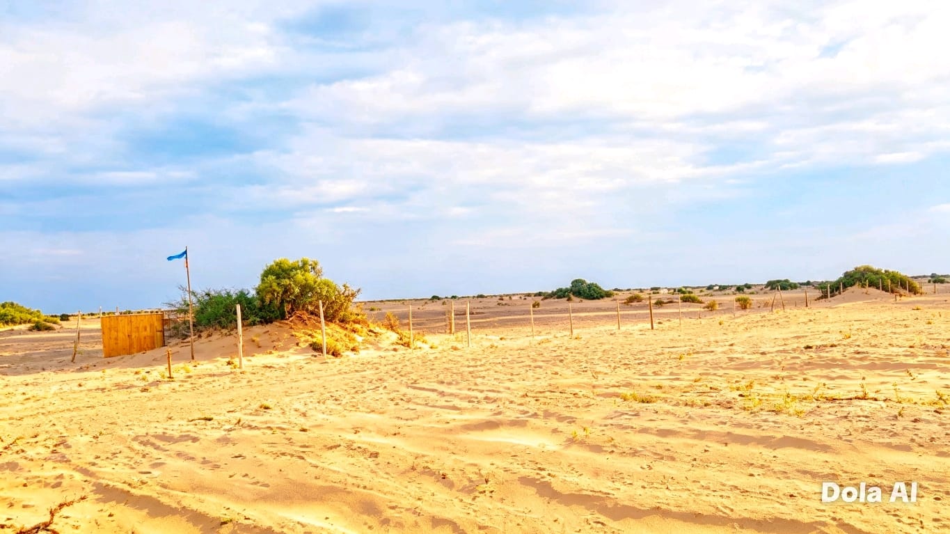 SE VENDE 250 HECTÁREAS — MORROPE, LAMBAYEQUE