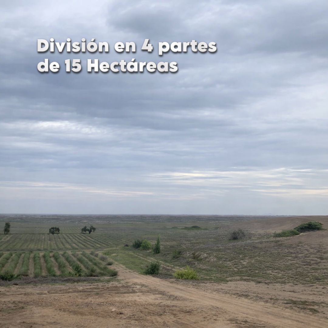 Terreno agrícola en venta – Paiján, La Libertad