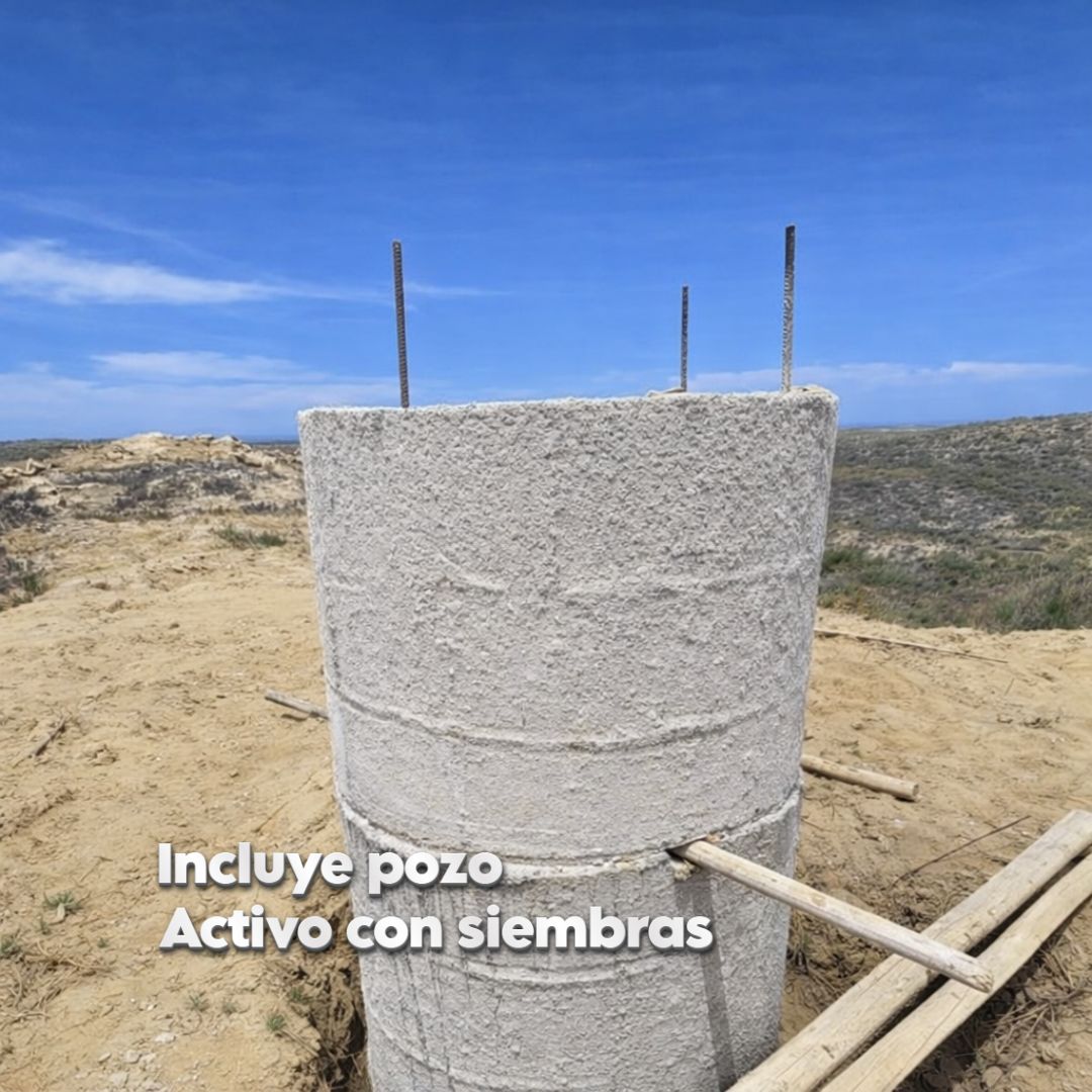 Terreno agrícola en venta – Paiján, La Libertad