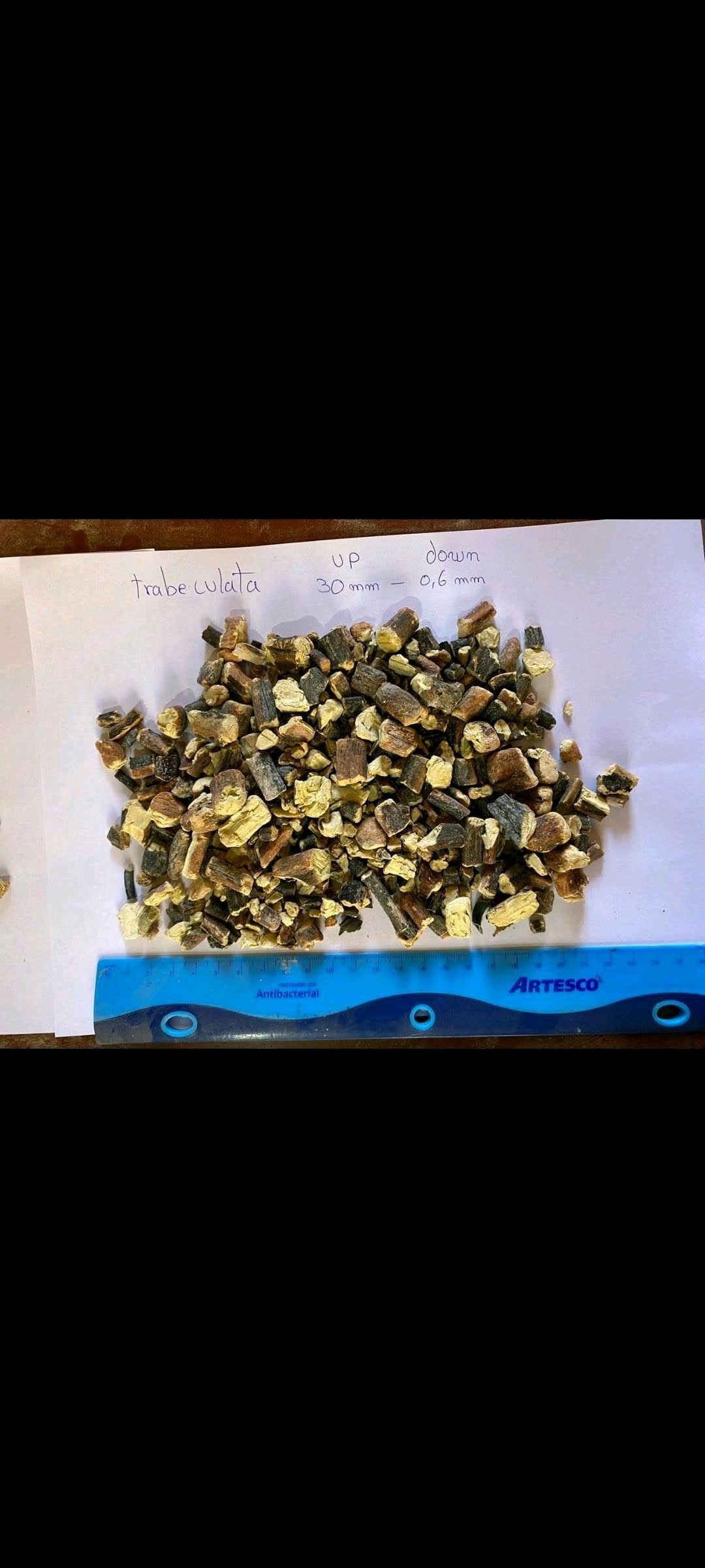 Peruvian seaweeds From Perú-Wholesale Supply