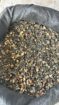 Lessonia Nigrescens Seaweed Brown From peru-Wholesale Supply