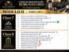💎 Curso Virtual de Identificación de Oro, Plata y Joyas 💎