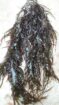 Gigartina chamissoi Seaweeds from peru-Wholesale Supply