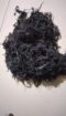 Gigartina chamissoi Seaweeds from peru-Wholesale Supply