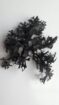 Chondrus Crispus Irish Sea Moss From Peru-Wholesale Supply