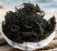 Chondracanthus chamissoi sea chicory yuyo Dried Frozen From peru