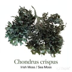 irish