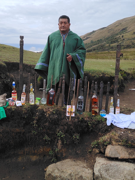 Chaman Peruano