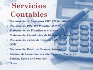 SERVICIOS-CONTABLE