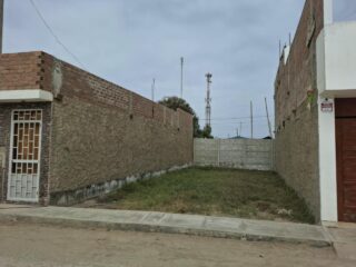 WhatsApp-Image-2026-10-07-at-3.53.41-AM2