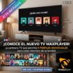 MAXPLAYER TVDIGITAL – Todo tu entretenimiento favorito en un solo lugar
